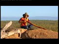 David Hudson - Australia's 'Cultural Journeyman'