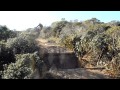 Pre-Christmas Ride 2011 - 