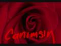 videos de hahahahah very funnyyyyyyyyyyyyy