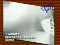 palomine-at-the-provincieshow-on-national-tv-1.html