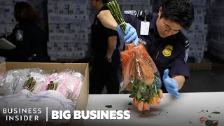 How 1.1 Billion Flowers Are Imported And Inspected In The US