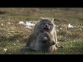 Zoo Brazil feat. Rasmus Kellerman – There Is Hope