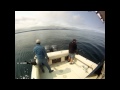 Port Hardy Fishing - Great Salmon/Halibut/Snapper Action!