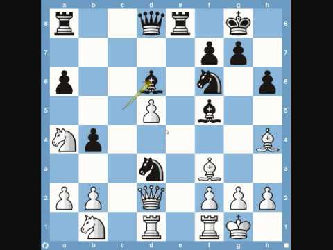 chess chess