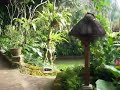 hotel tjampuhan, bali