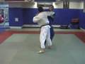 Tani Otoshi