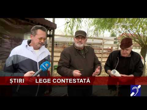 Legea porcului stârnește nemulţumiri