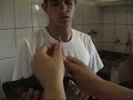 DOBERMANN - EAR DRESSING DOBERMANN - EAR DRESSING