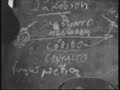 linguagem - paulo leminski