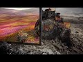Sony Bravia Millions of Flowers by Frontage Inc, Flying Fish and Blockhead