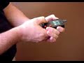 mobile phone pistol mobile phone pistol