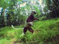 See Video
