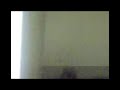 Victor doing a Jackass stunt