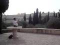 In the Garden of Gethsemane View Video