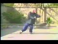 Fu Zhongwen[2/2]
