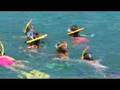 Curacao Dolphin Therapy and Research Center