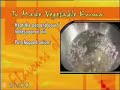 Flavours of India \"Vegetable Korma\" Flavours of India \"Vegetable Korma\"