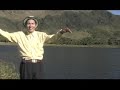 palomita ingrata - manuelito palomita ingrata - manuelito