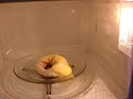 Marshmallow Peep in Microwave