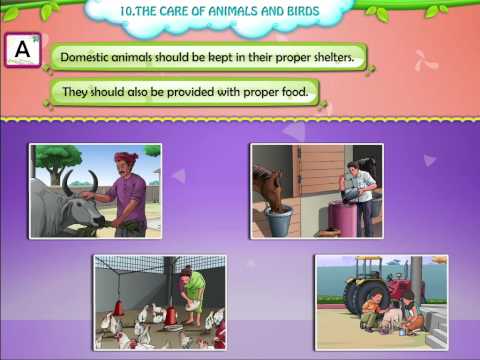 how to care animals