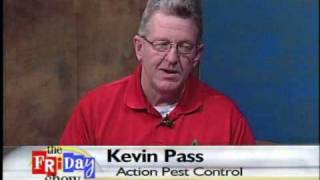 Termite Control Termite Control