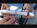 Popper by Strikepro get's Hammered!! Giant Trevally Fishing