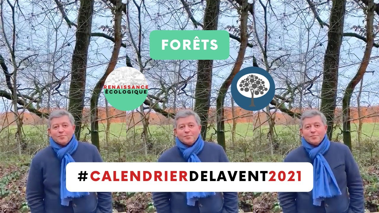 Forêts #CalendrierdelAvent2021 Carbon Forest