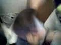 �merCan ��ba��nda