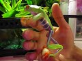 See Video