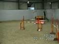 videos de Merlin Newton Heath 22nd Nov 08 Grade 3 Agility Win.mpg