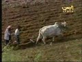 YEMEN-Raimah 2-محافظة ريمة ثنائية التاريخ والجمال - اليمن