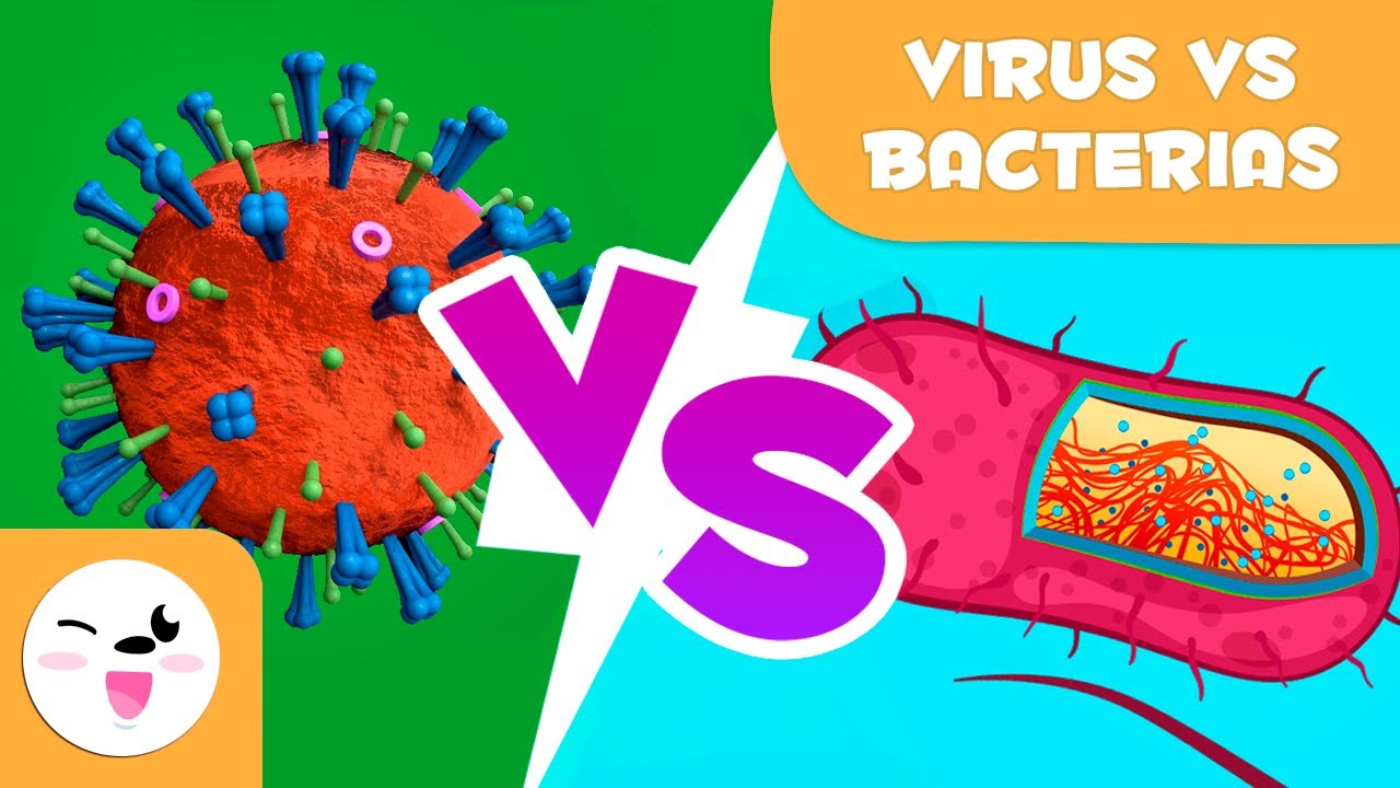 Virus vs. bacterias - ¿Cuáles son sus diferencias?