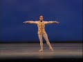 Irek Mukhamedov - Sleeping Beauty - Act III pdd variation Irek Mukhamedov - Sleeping Beauty - Act III pdd variation