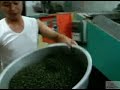 Making Formosa Oolong - III