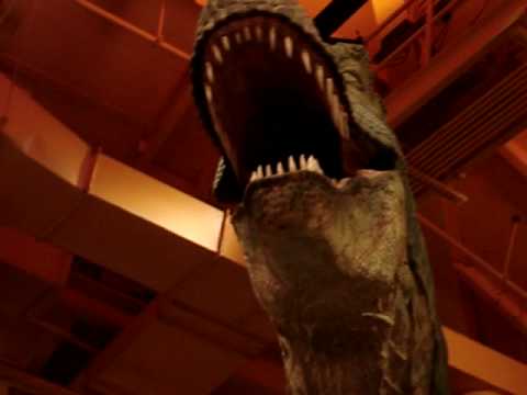 c1dew - This is the life size T-Rex at the Toys R Us superstore at Times Square, New York City. Just Look at his eyes!