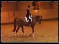 Dressage St. Georg test 7yr young horse Dressage St. Georg test 7yr young horse
