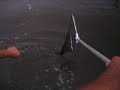 Neto vs Robalo Flexa