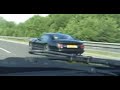 Cerberas head to Goodwood Cerberas head to Goodwood