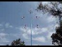 Voladores de Chapultepec