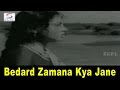 Bedard Zamana Kya Jane (3) | Mohammed Rafi | Bedard Zamana Kya Jane @ Ashok Kumar | 1959 Bedard Zamana Kya Jane (3) | Mohammed Rafi | Bedard Zamana Kya Jane @ Ashok Kumar | 1959
