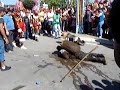 O Velho e a Porrada Velha 3