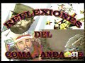 fidel castro reflexiones etanol hambre calentamiento global