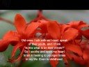 Conversation w/the Aged, a poem by Peter Menkin
