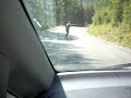 Bombing Freebord Germany fast lil