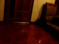 videos de Te amo anahí