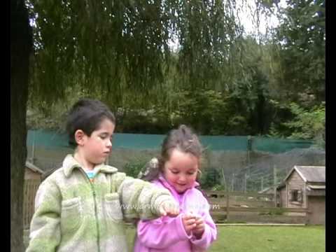 Granja Armonia
