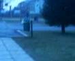 figure di merda 5