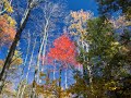 slide show from the october 08 hike in the glorious minnewaksa and mohonk preserves with my brother. we have witnessed many beautiful sights and sounds. nature is our medicine. soundtrack is from steve tibbets.