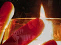'missa brevis: agnus dei', giovanni pierluigi de palestrina

dir.: edward higginbottom