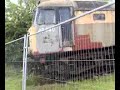 Outside the train graveyard